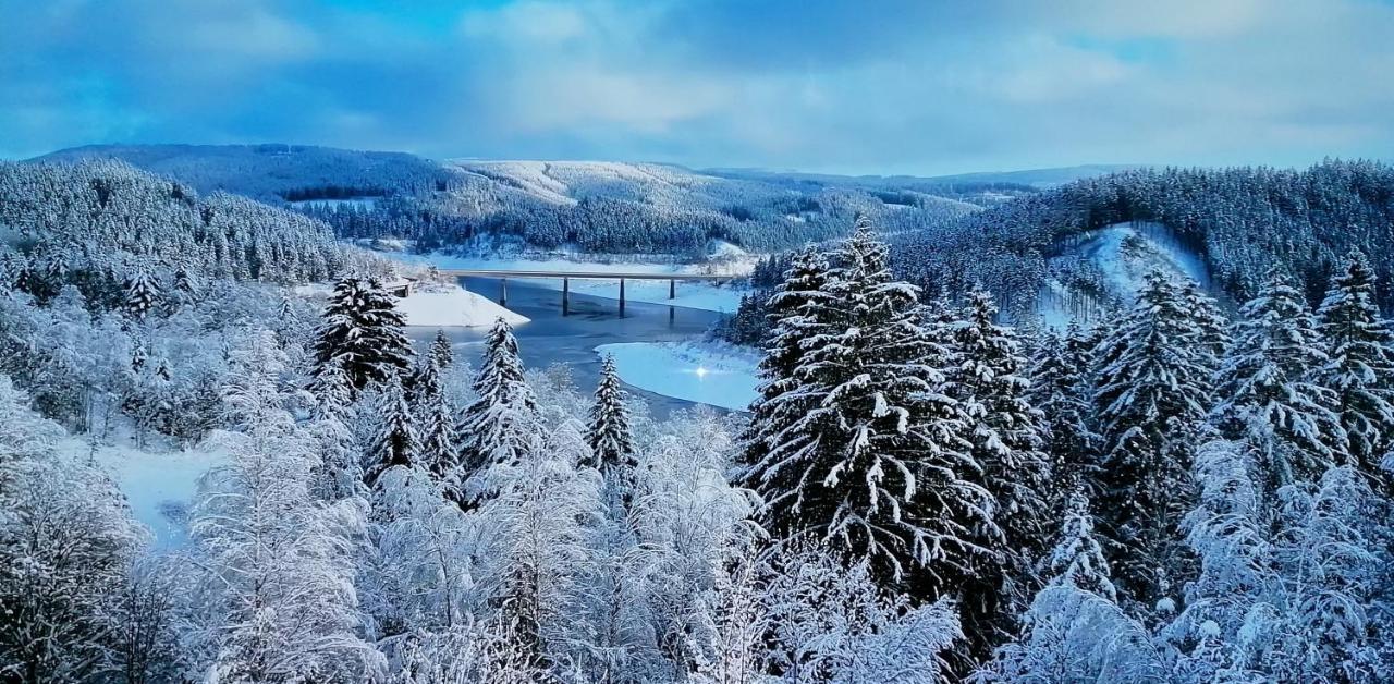 Hotel Waldhaus Im Okertal Goslar Zewnętrze zdjęcie