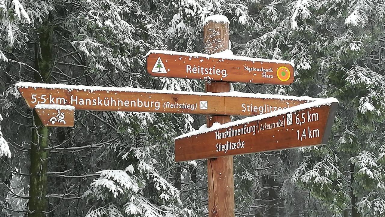 Hotel Waldhaus Im Okertal Goslar Zewnętrze zdjęcie